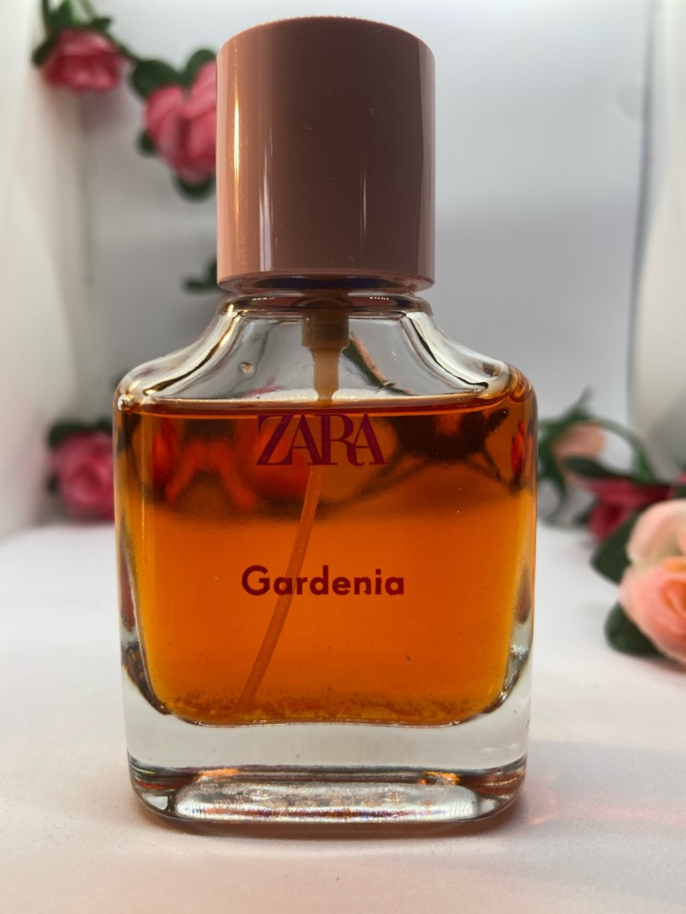 Zara - Gardenia